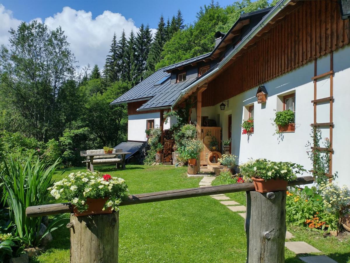 Alm-House Hollmann Zelezna Ruda Exterior foto
